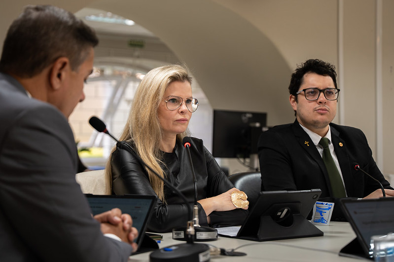 A profissão de delegada